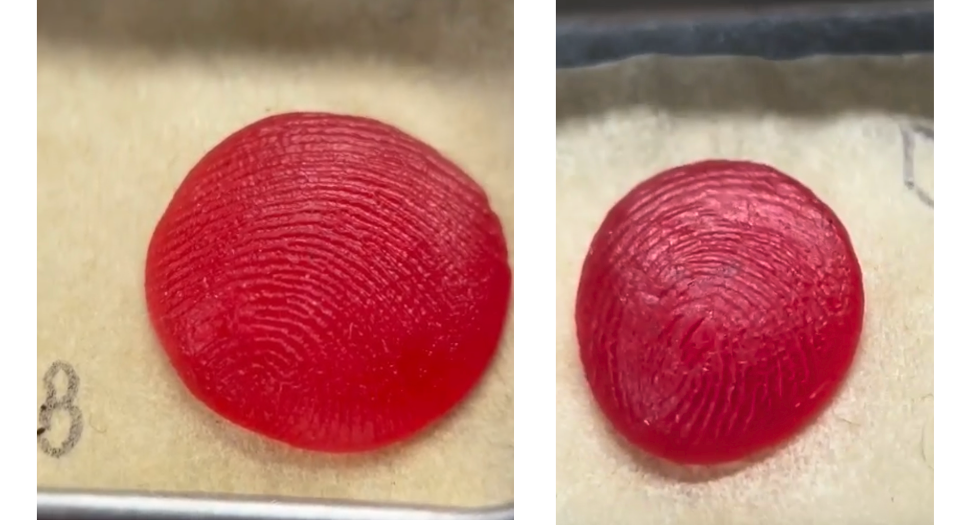 Wax impressions of fingerprints